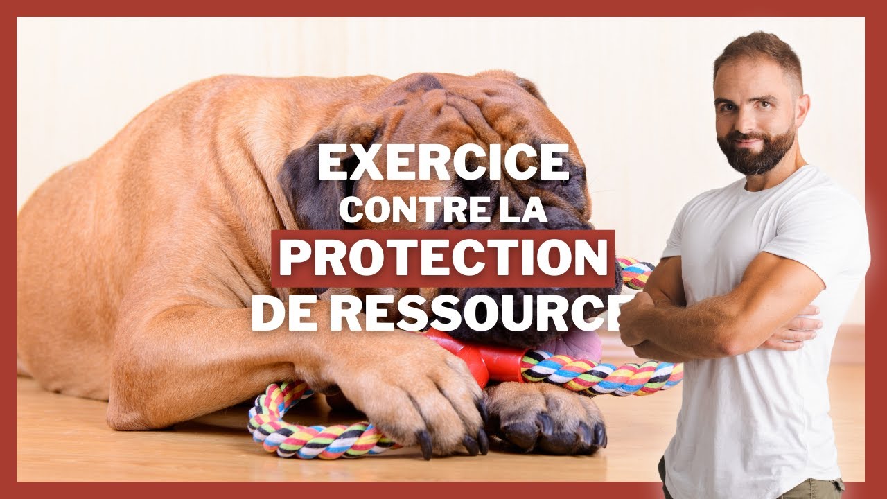 Exercice CONTRE la protection de ressource !