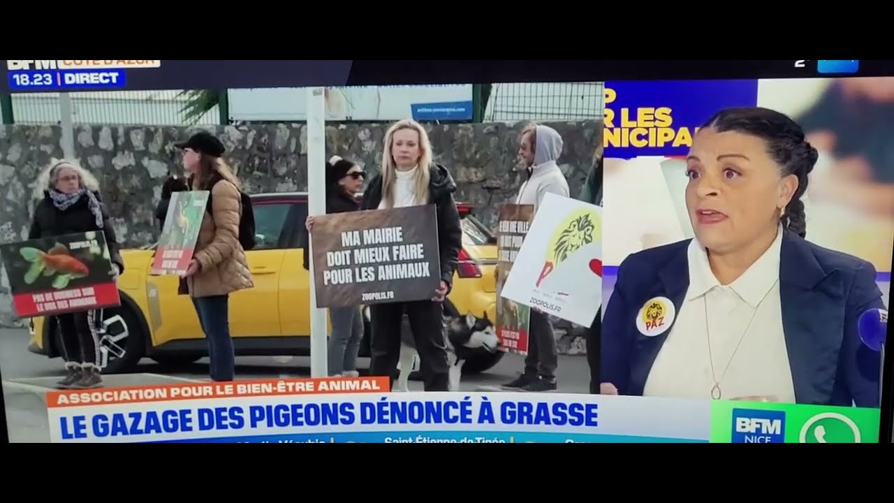 BFMTV - 02/02/2026 - PAZ opposée à la tenue de salons animaliers