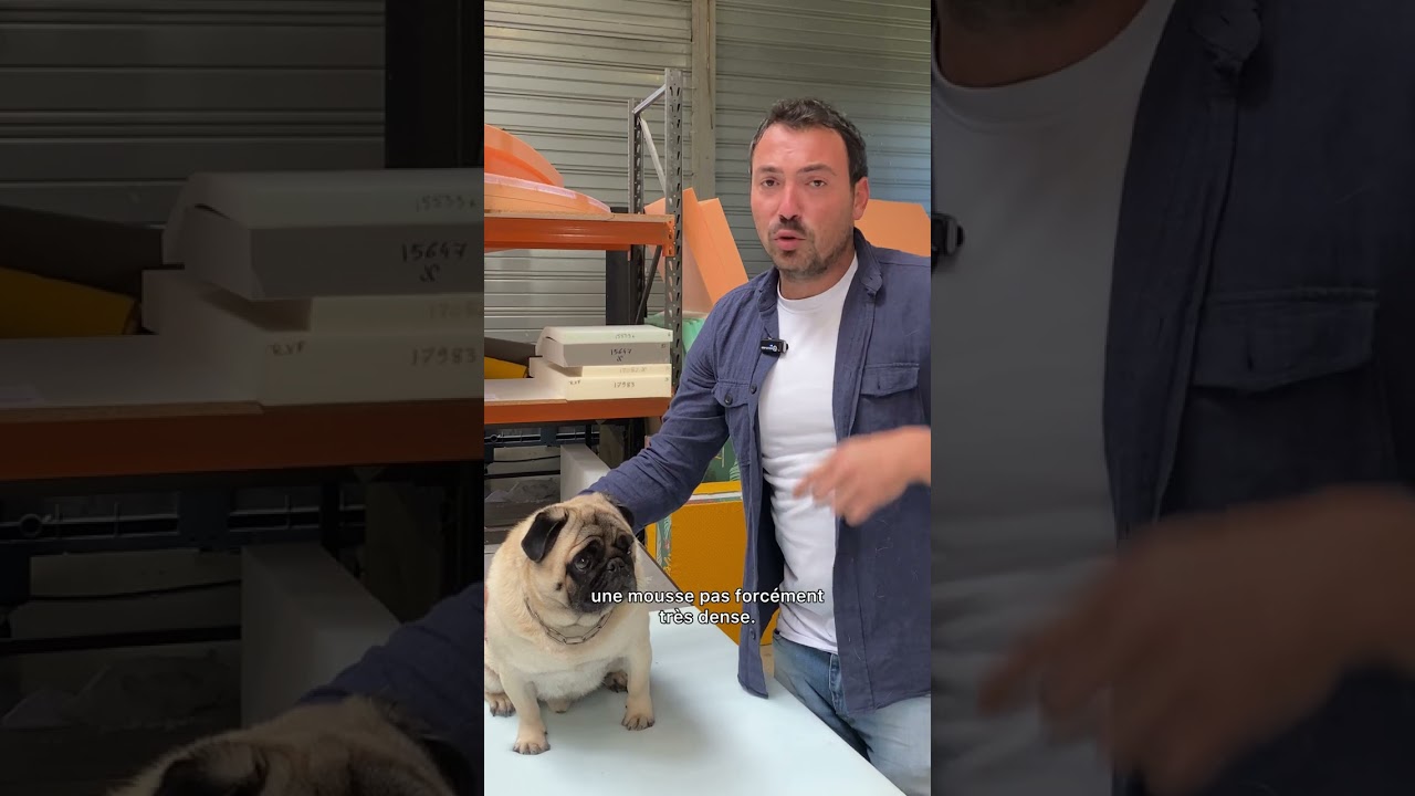 Quelle mousse pour un panier pour son chien ? - Les p'tits tutos de Clem