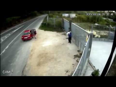 Stop à l'abandon des animaux de compagnies !