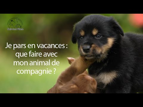 Je souhaite partir en vacances : que faire de mon animal de compagnie ?