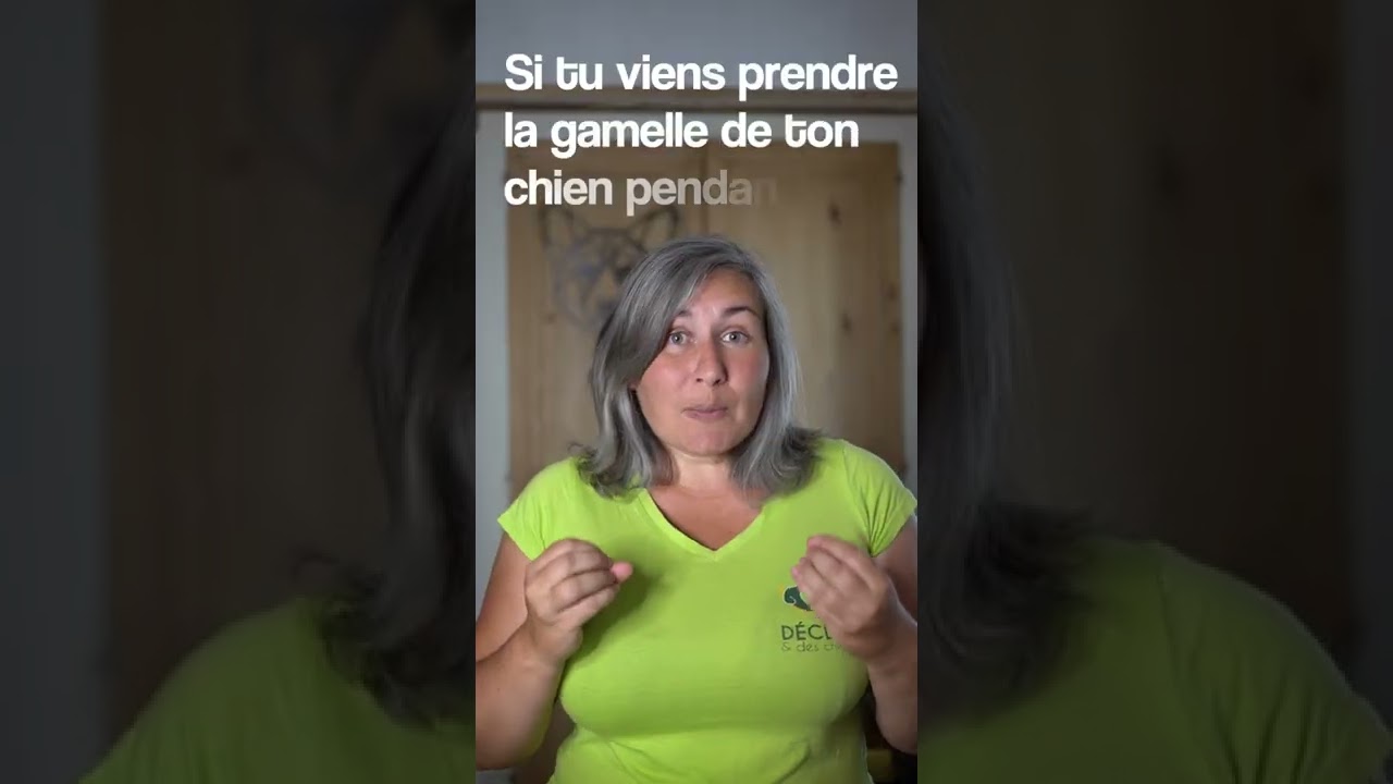 La meilleure technique pour se faire mordre par son chien