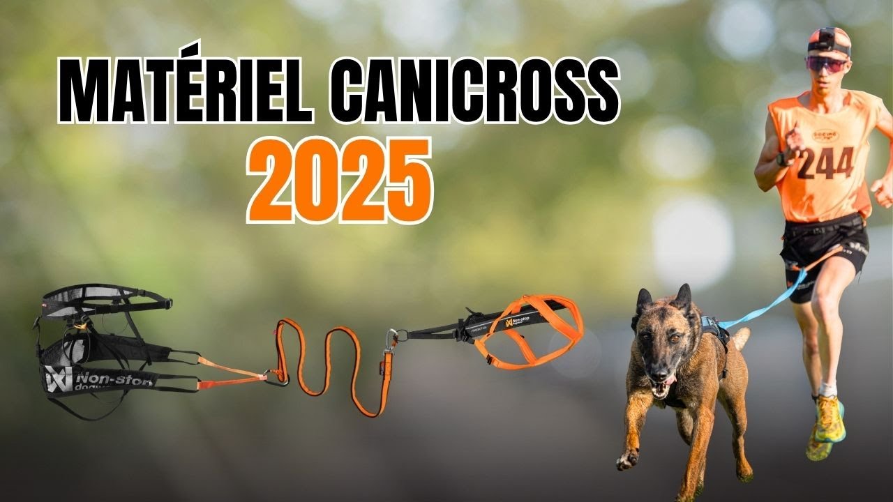 CANICROSS : COMMENT S'ÉQUIPER ?