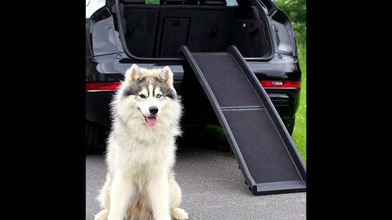 Comparatif Express 3 Rampes pour Chien