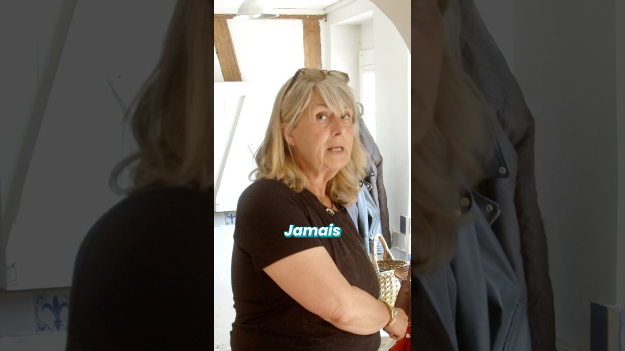 Comment faire cohabiter chats et chiens #formation #chat #chien