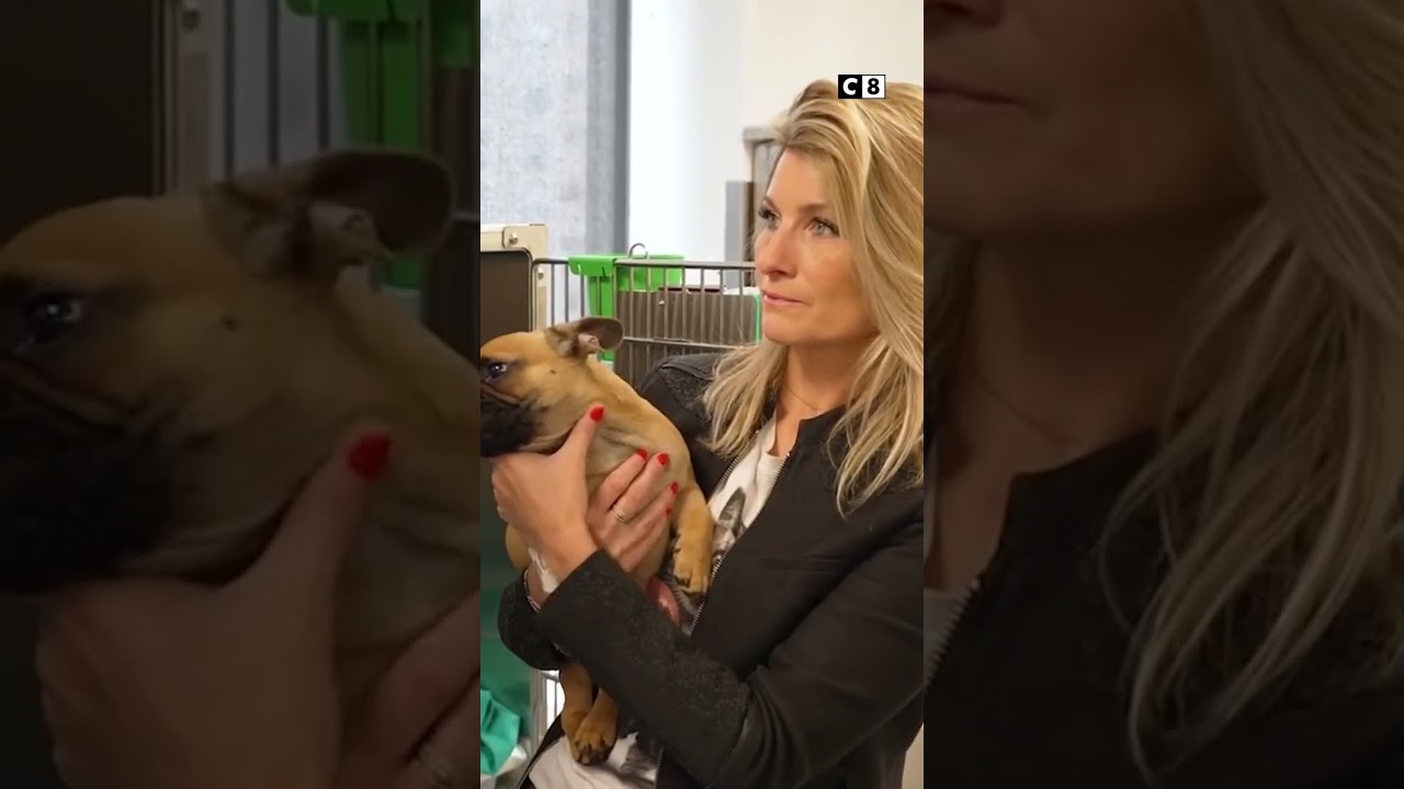 Ce chirurgien a pu sauver la vie de ce chien grâce aux nouvelles technologies de la médecine !👨‍⚕️