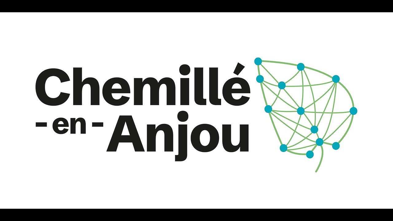 Conseil Municipal de Chemillé-en-Anjou - 29/01/2026