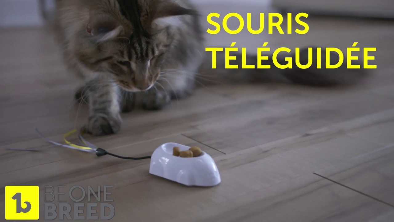 Souris téléguidée par Beonebreed