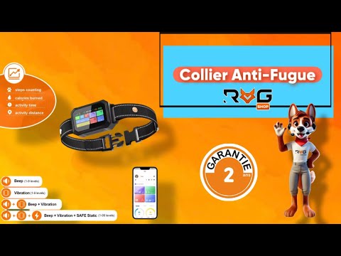 Collier Anti Fugue RoG Hunting #collierantifugue #roghunting