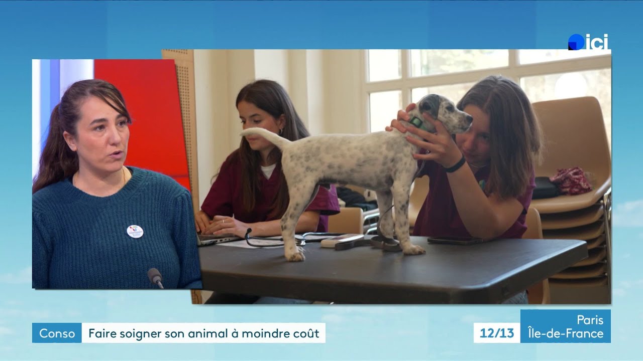 Vétérinaires Pour Tous, une solution pour les soins des animaux de compagnie des familles modestes.