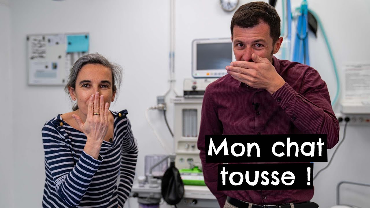 Mon chat tousse ! 🐱