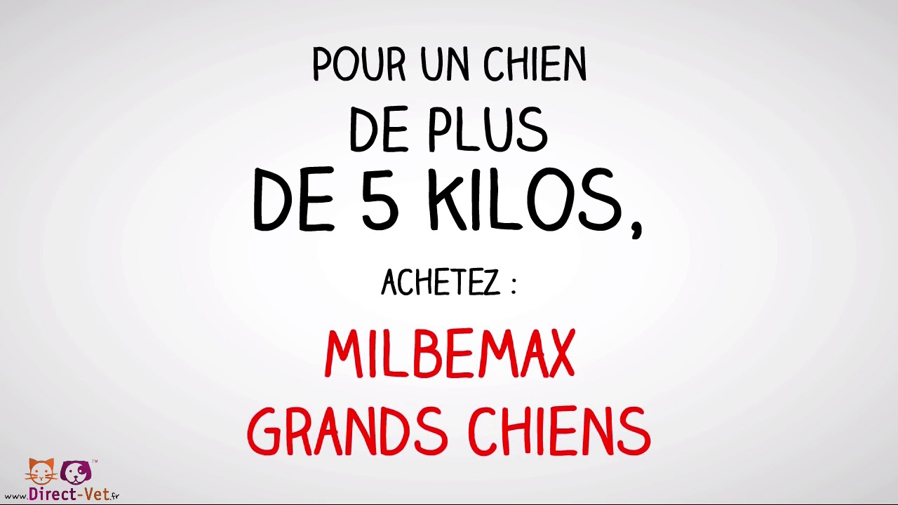 Posologie vermifuge Milbemax à croquer