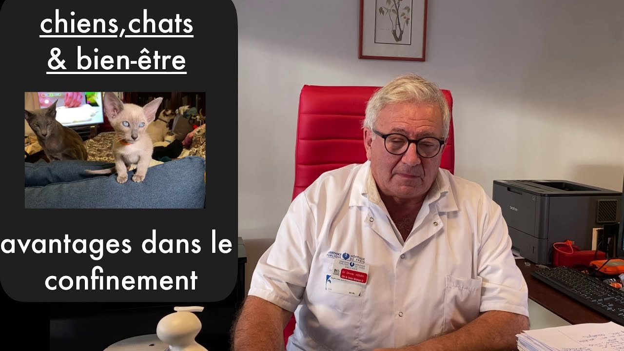 Chiens, chats & santé: bien-être-confinement (37-20)