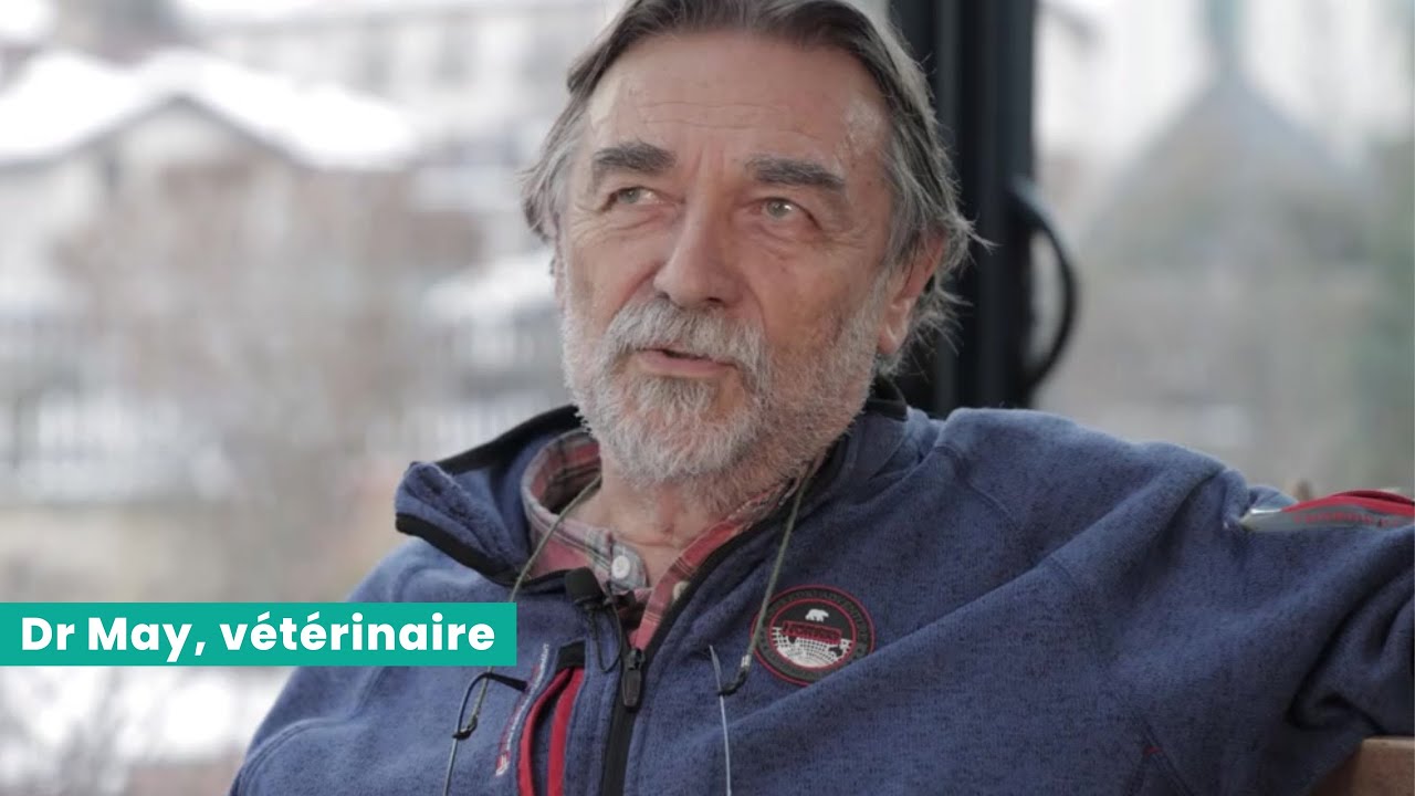 Bien nourrir son animal : le témoignage du Dr vétérinaire May