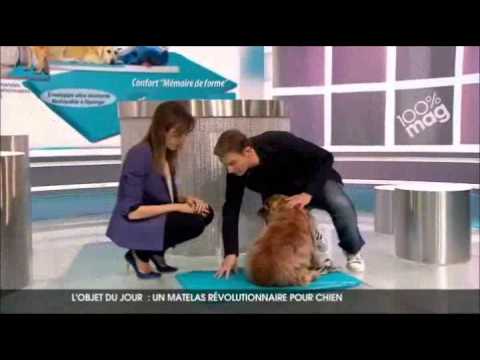 Découvrez le tapis auto-rafraîchissant pour chien Canine Cooler !