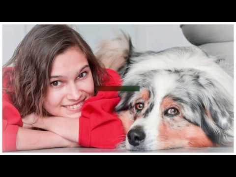 Comme Chiens et Chats : Épisode 4