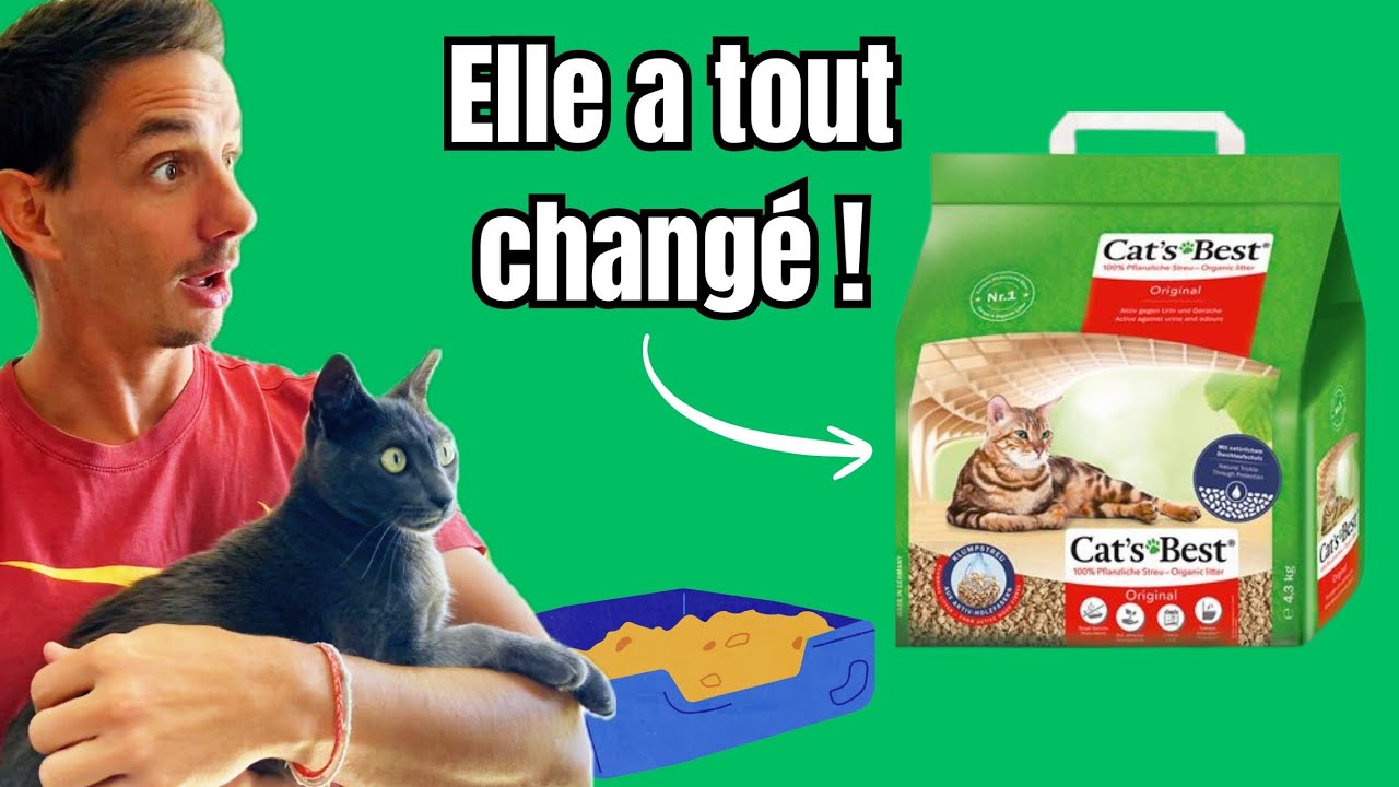 Avis Cat’s Best : la meilleur litière pour chat malade (et pas que) ? Test complet 