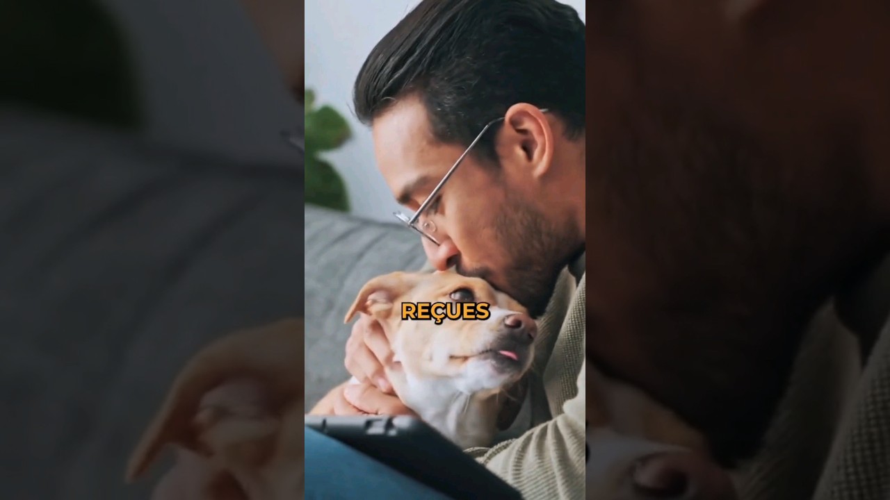 Les meilleurs races de chiens pour vivre en appartement #chiens #appartement #bulldog #levrier