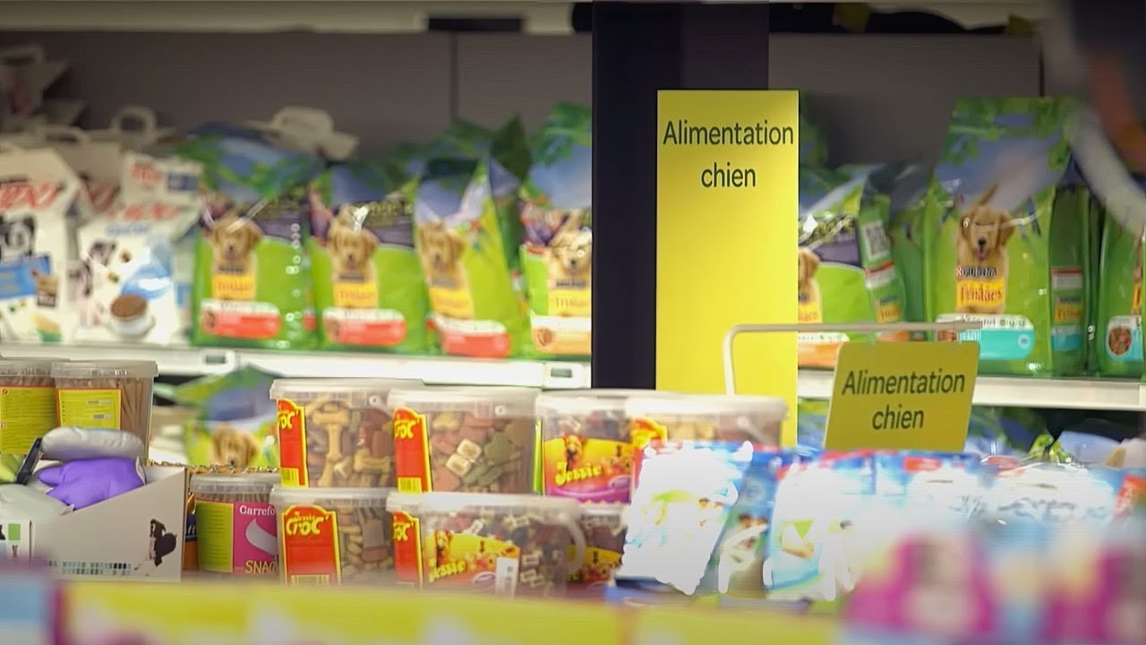 Les croquettes : interrogations sur la santé animale