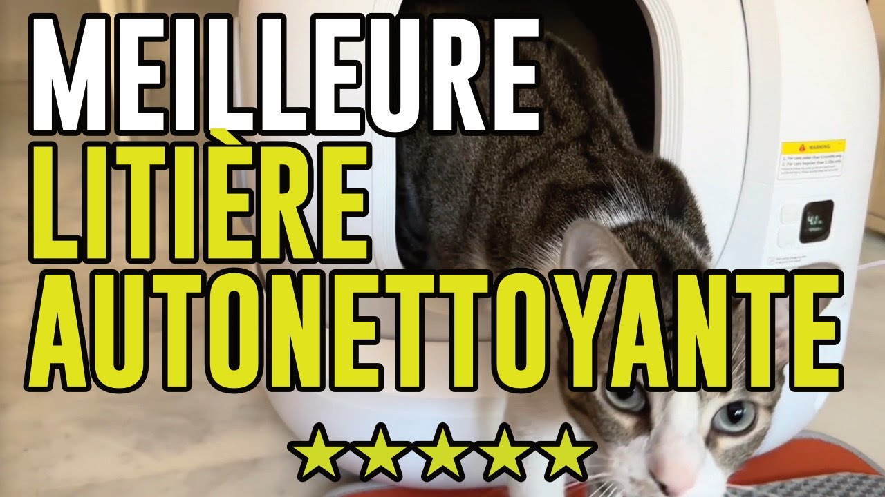 PETKIT Pura Max 2 : La Meilleure Litière Autonettoyante en 2025 ? (Avis validé par mon chat)