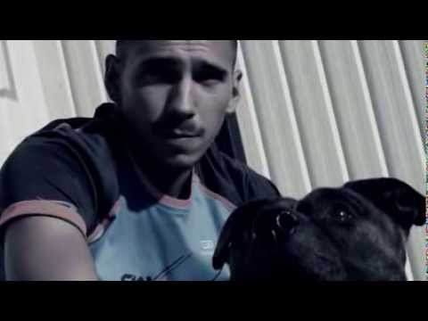 FORMATION EDUCATEUR & COMPORTEMENTALISTE CANIN