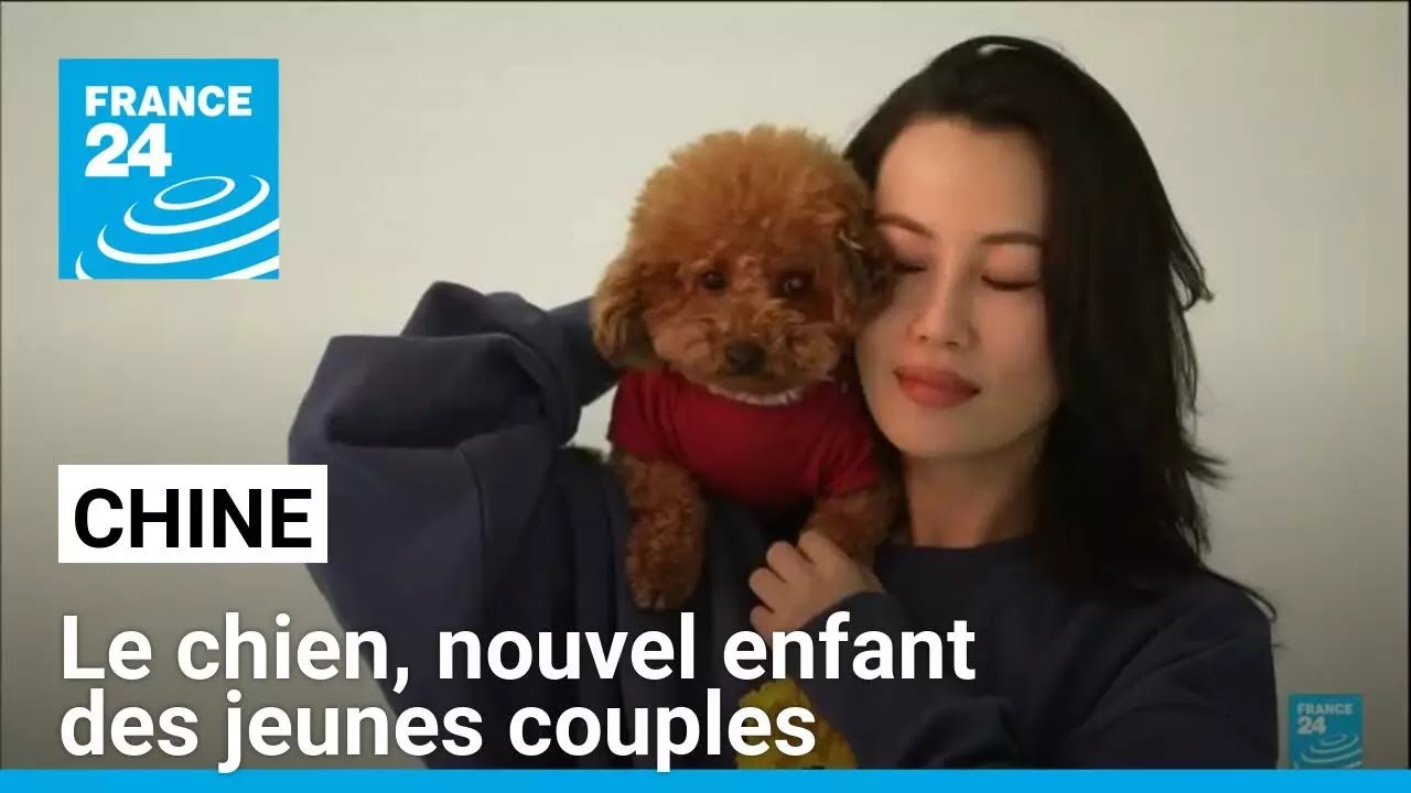 Le chien, nouvel enfant des jeunes couples en Chine • FRANCE 24