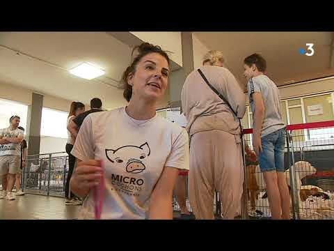 Le 1er salon des animaux de compagnie se tient à Cagnes-sur-Mer