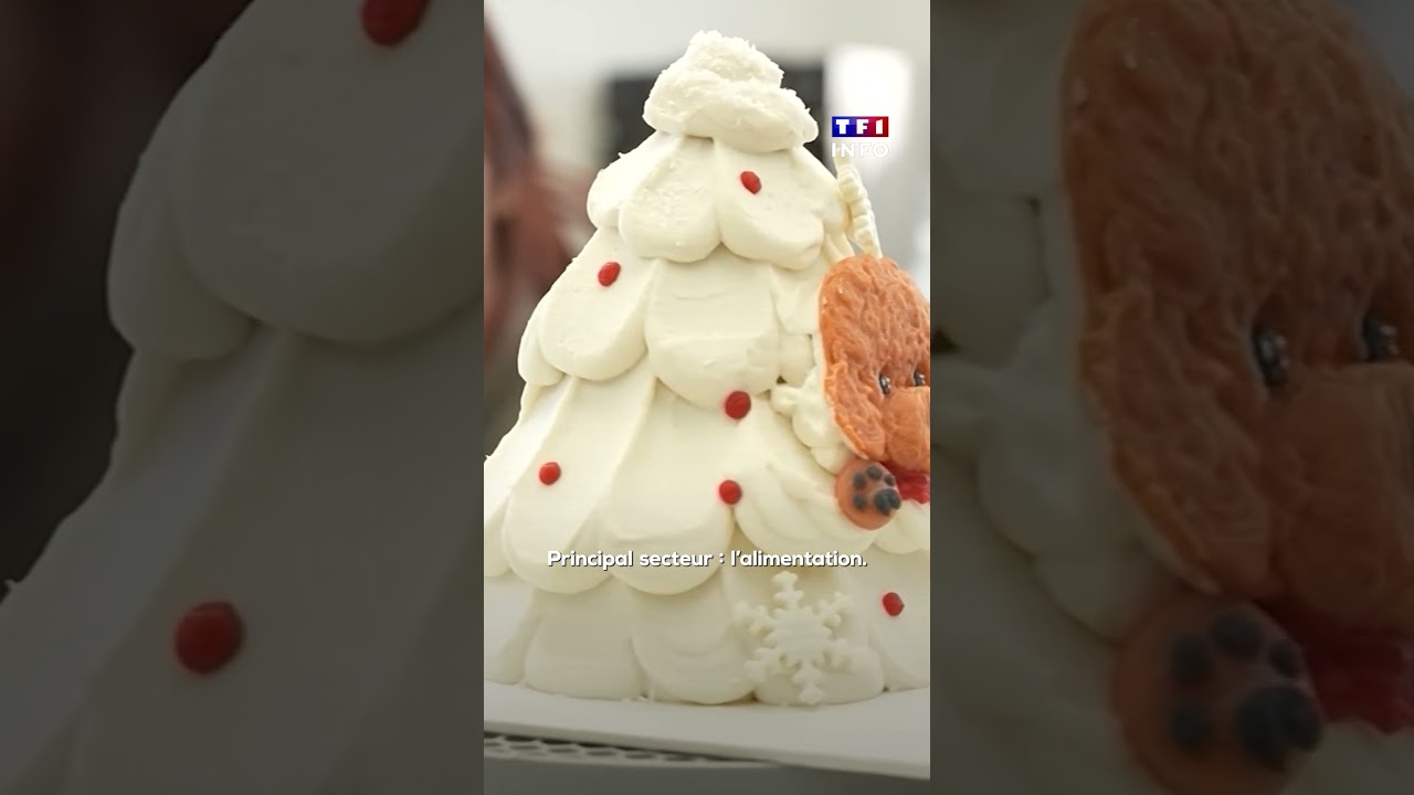 Chine : des animaux de compagnie pourris gâtés !｜TF1 INFO