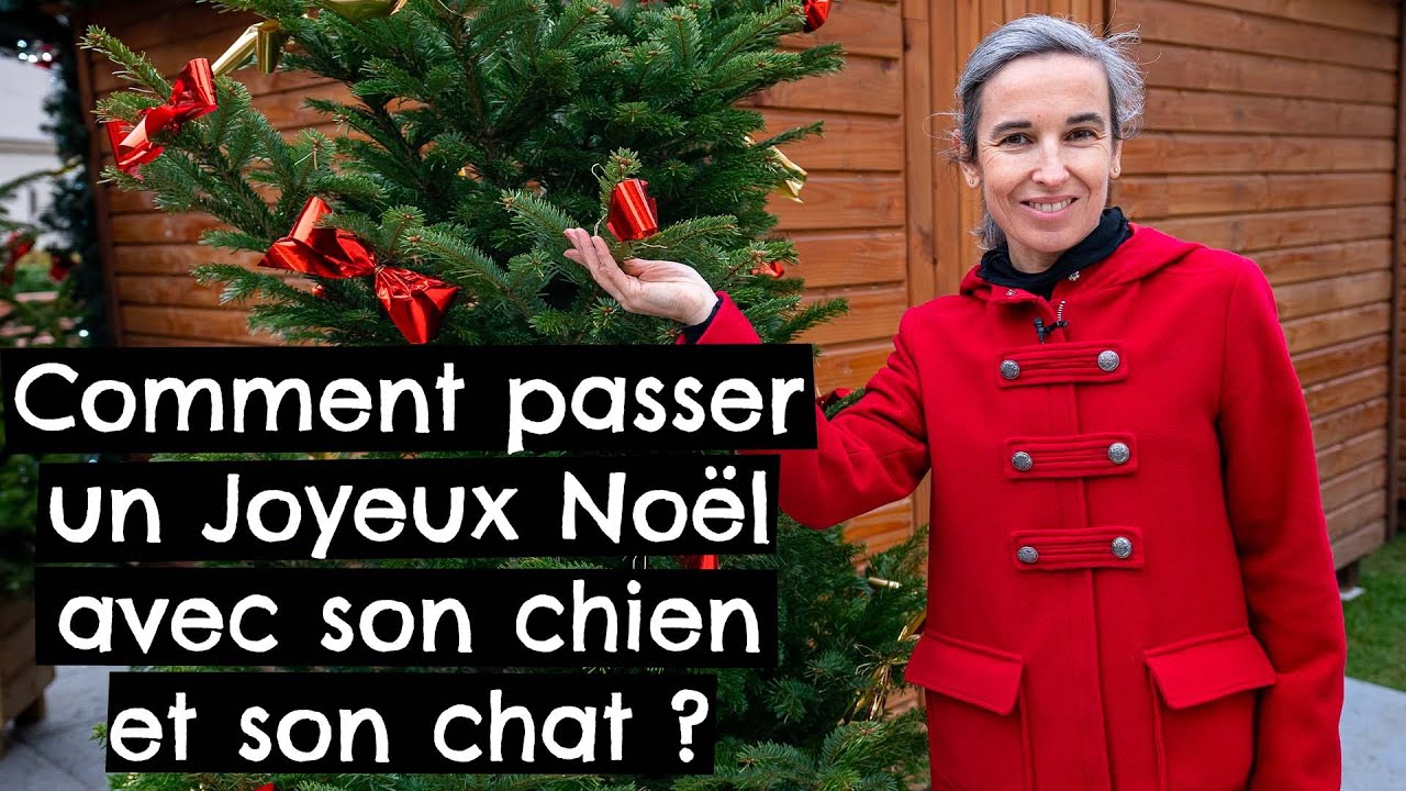 Comment passer un joyeux Noël avec son chien et son chat ?