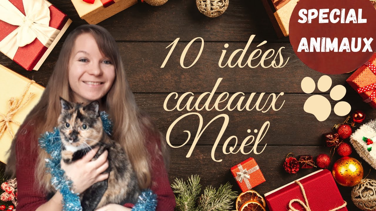 [10 IDEES CADEAUX POUR NOEL] pour animaux ou amoureux d'animaux