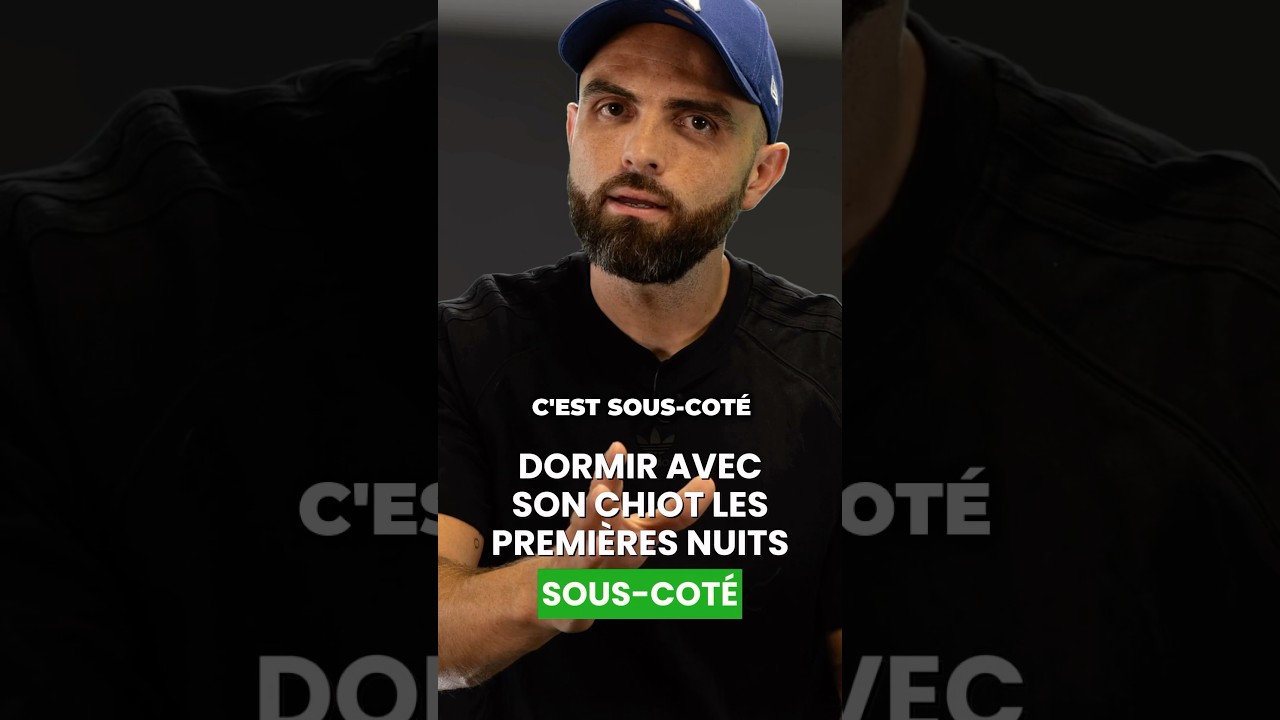 Dormez avec votre chiot ! (oui c’est un ordre)