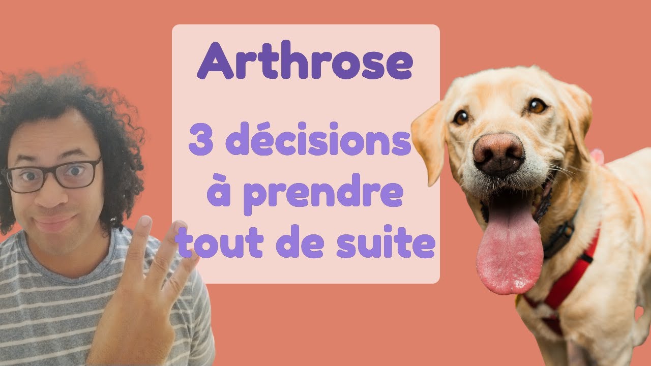 Arthrose : les 3 premières decisions à prendre