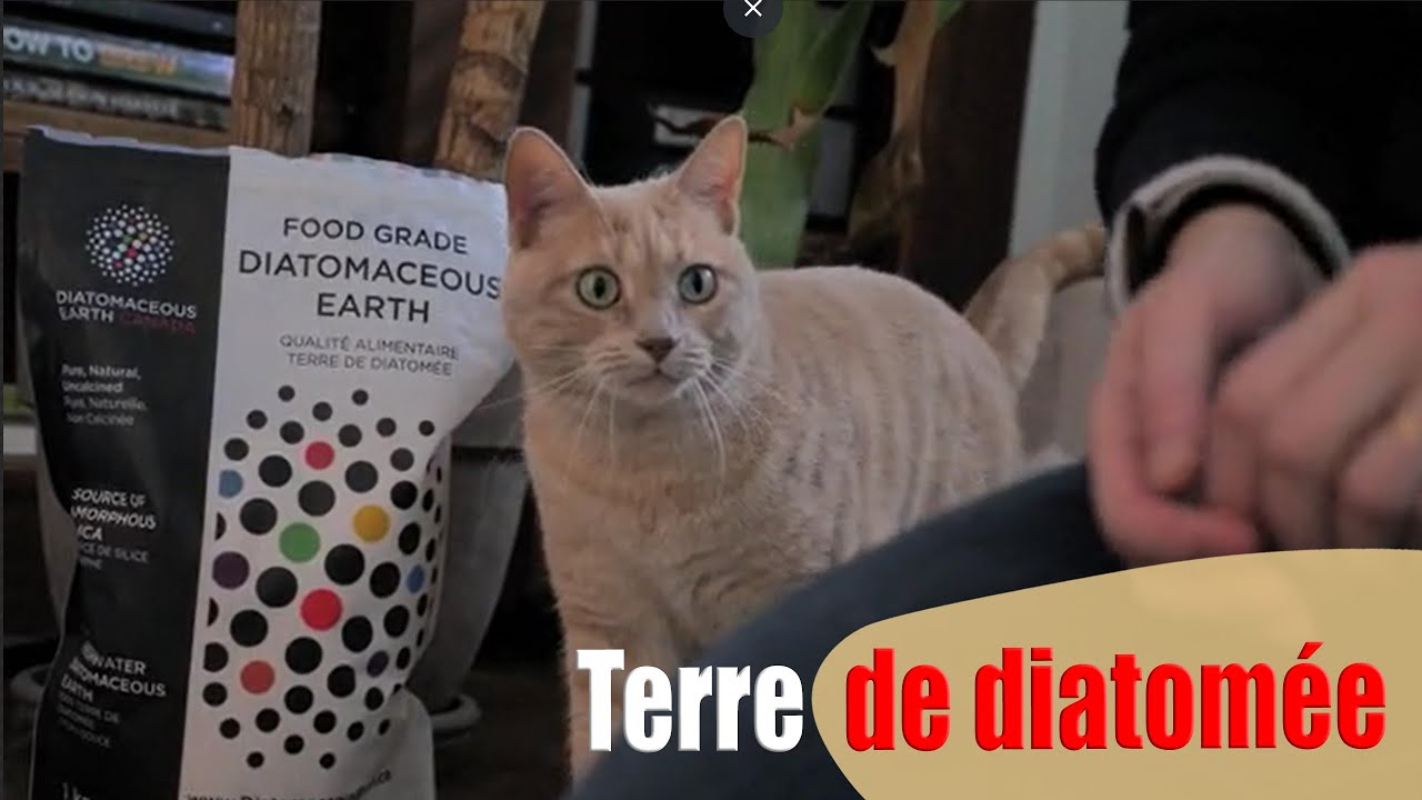 Terre de diatomée