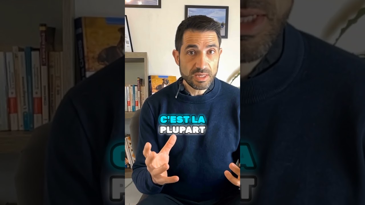 Gestion des conflits 💥 entre chiens 🐶  #chien #educationcanine #respectdogs