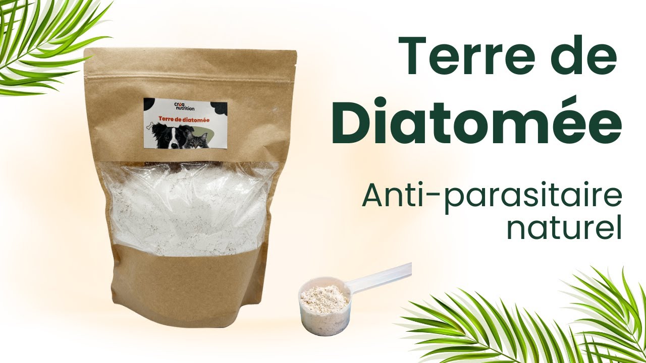 Terre de diatomée naturelle pour chien et chat  | Anti-parasitaire & complément alimentaire