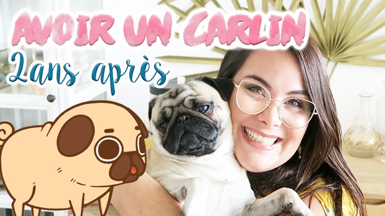 AVOIR UN CARLIN: Toute la vérité 2ans après