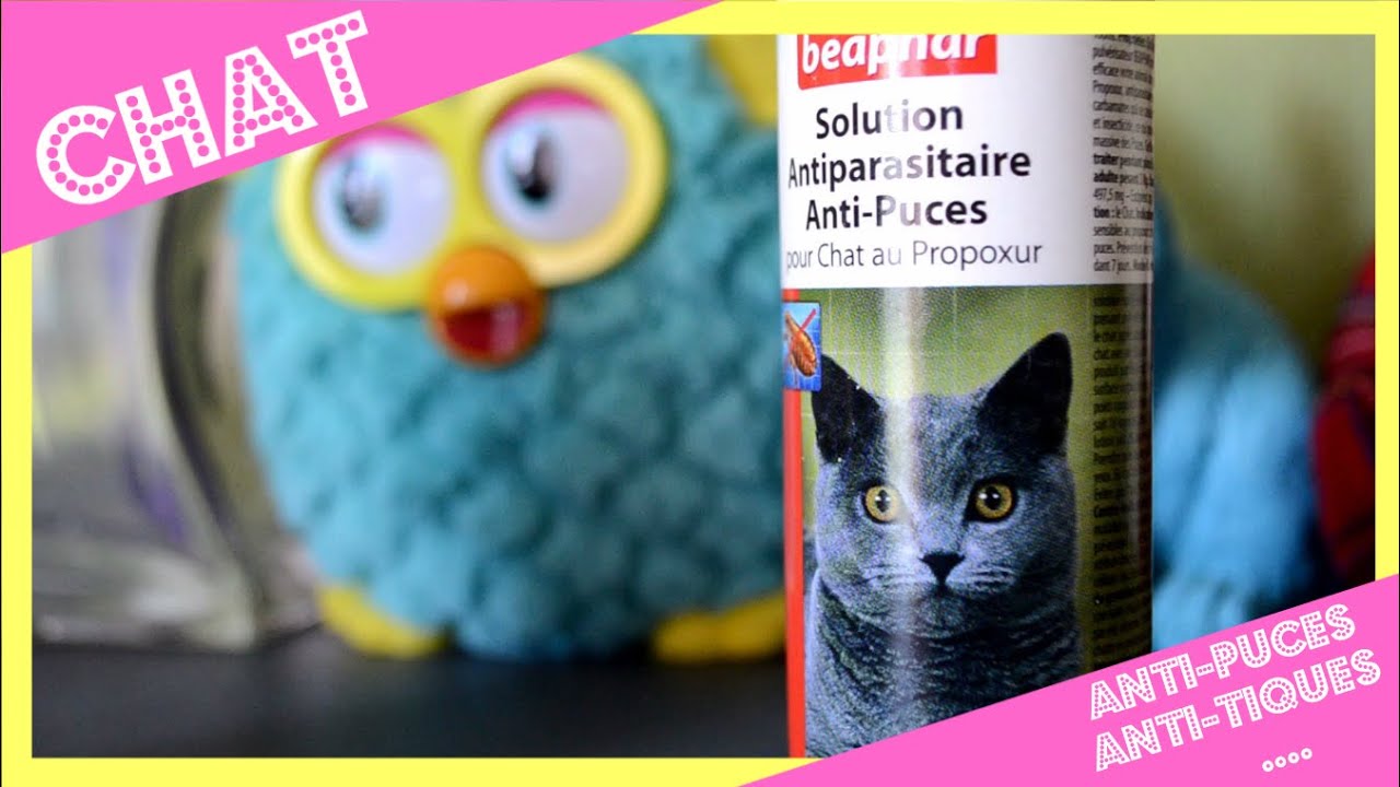 ➳ Ce que j'utilise pour protéger Maé des tiques , des puces et autres ! : [ ♥ CHAT ♥ ]