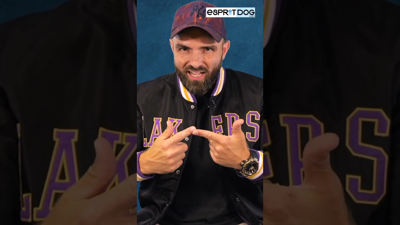 L'avis de Tony : faut-il laisser son chiot dormir dans la chambre ?