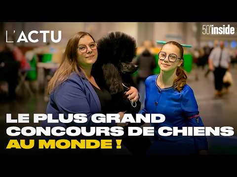 Ces Français à la conquête du plus grand concours canin au monde 🐾 | 50'Inside | L'Actu