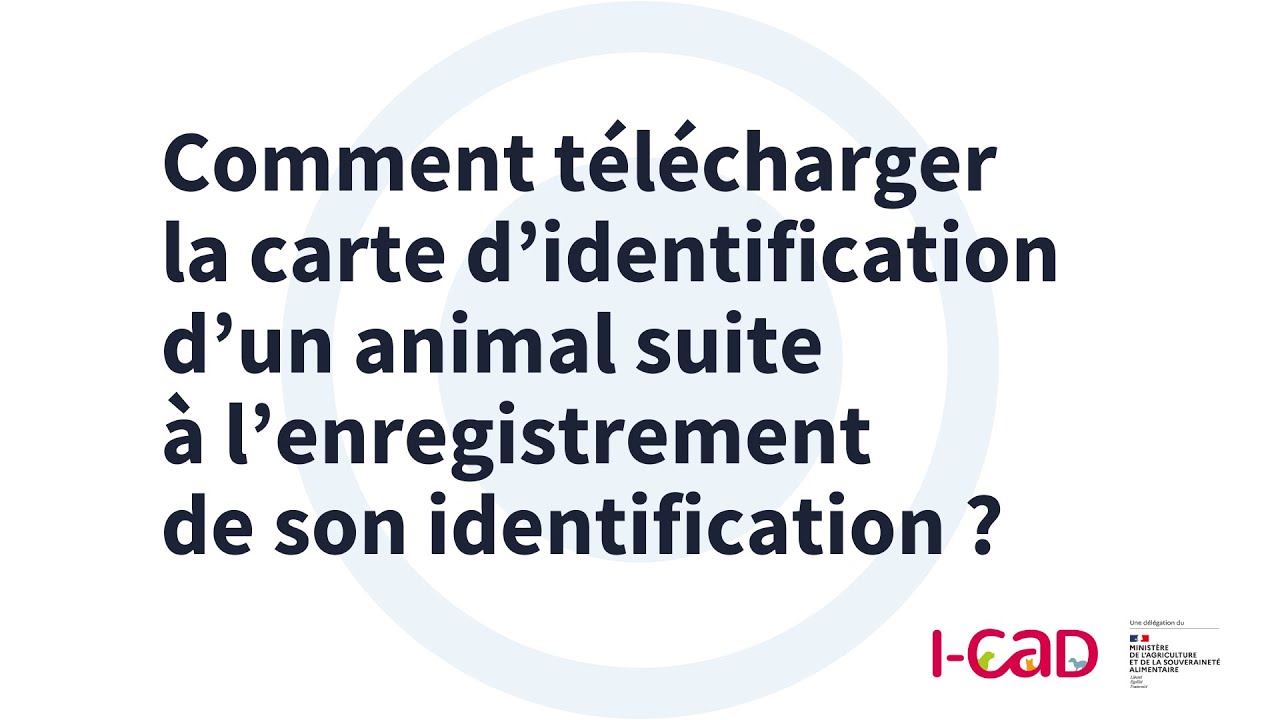 Téléchargez la carte d’identification d’un animal suite à l’enregistrement de son identification - 2