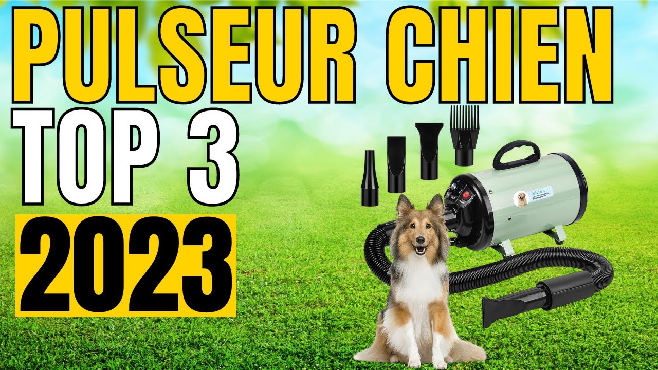 TOP 3 : Meilleur Pulseur chien 2023