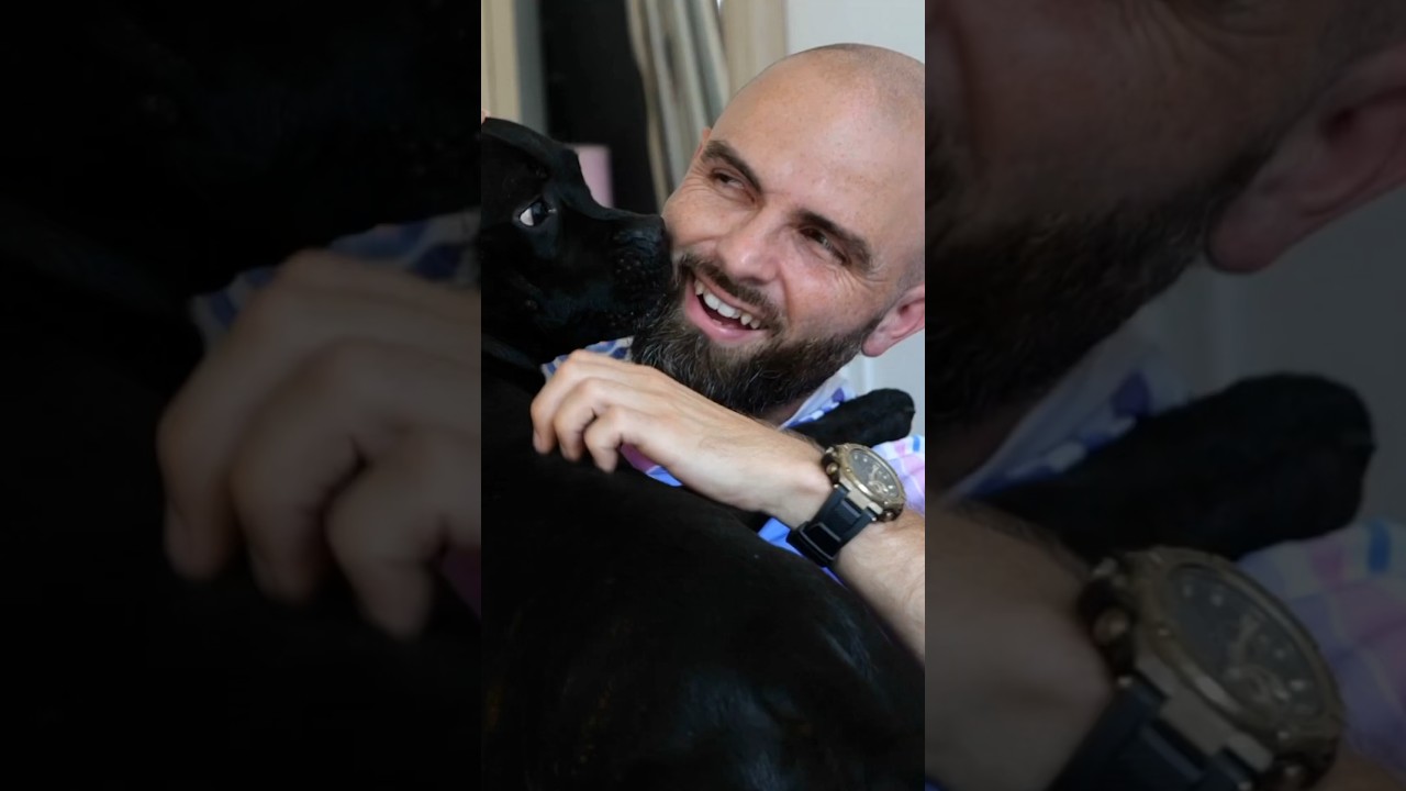 Vous DEVEZ faire ça pour éduquer ce chien !