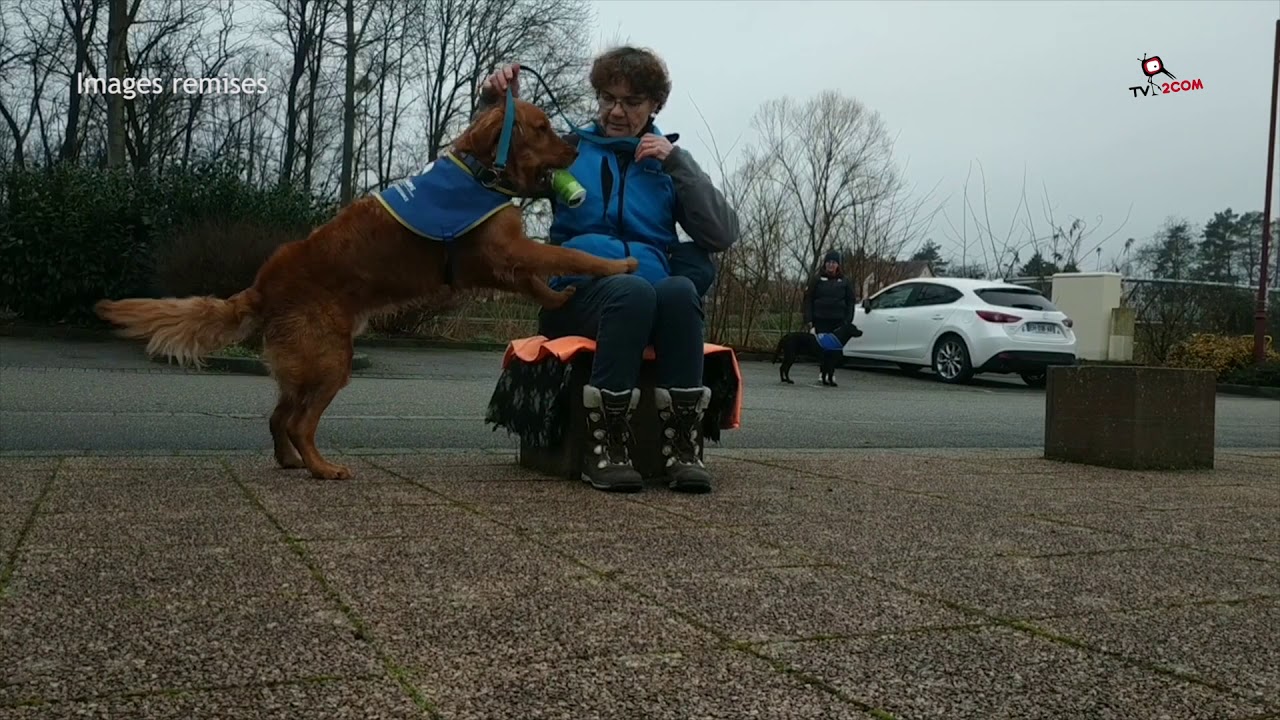Sylviane : Famille d'Accueil pour Handi'chien