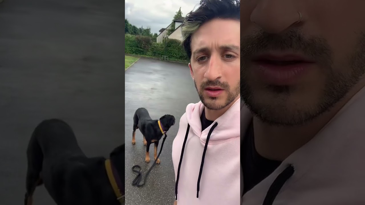 L’éducation canine ça ne s’invente pas #chien #educationcanine #influenceur