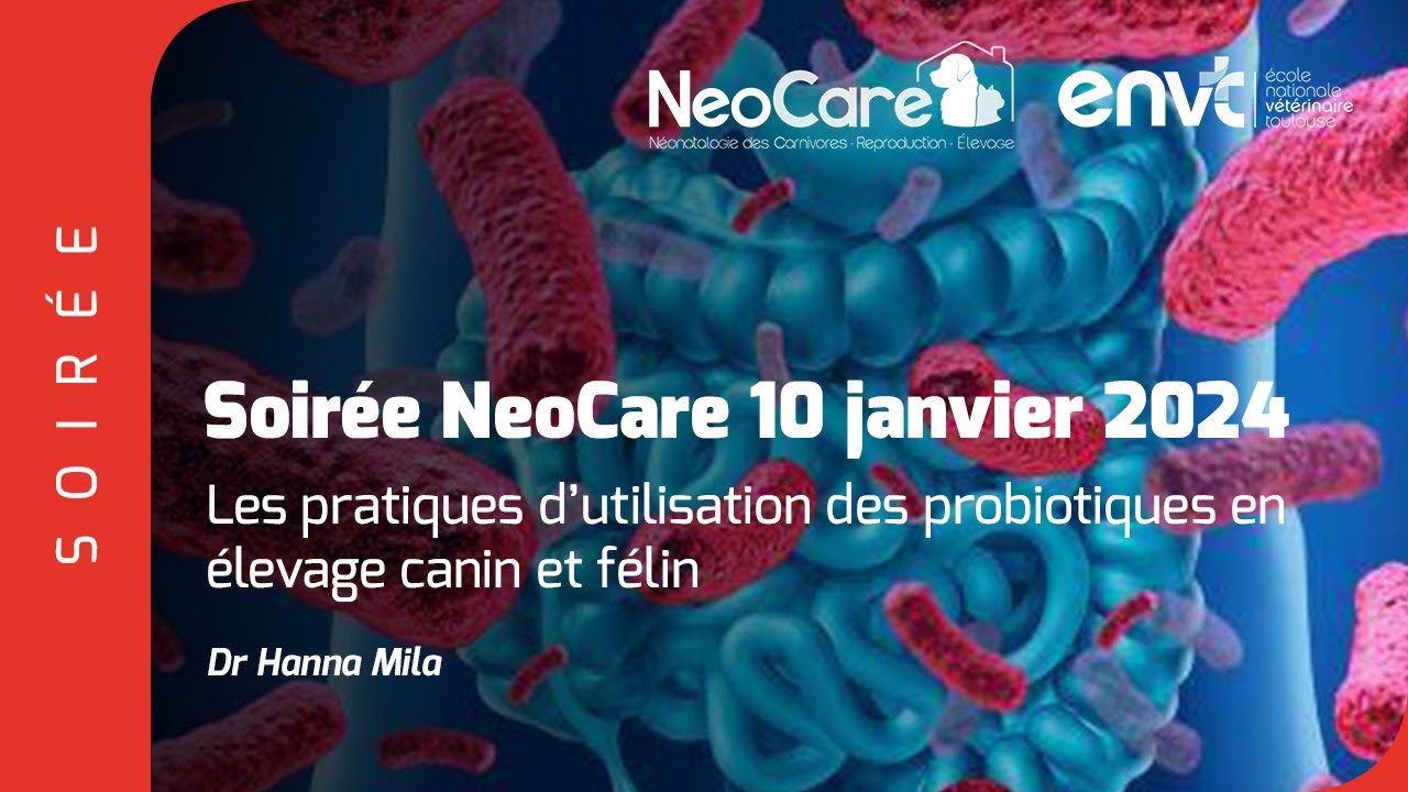 Les pratiques d’utilisation des probiotiques en élevage canin et félin : résultats d’enquête NeoCare