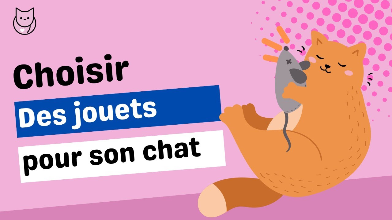 Quels jouets prendre pour son chat? Tout savoir sur le sujet!