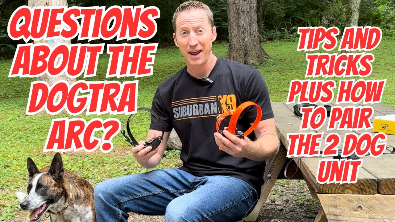 How To Use a Dogtra ARC E Collar - EVERYTHING You Need to Know
