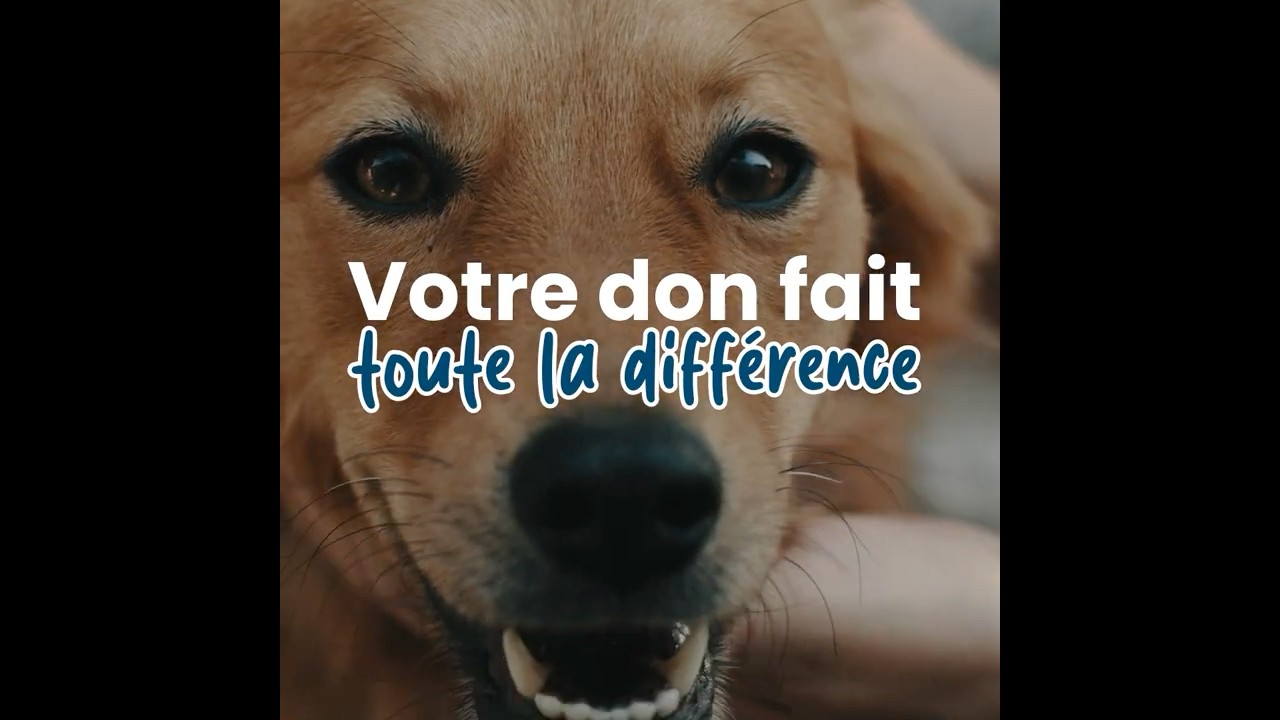 Leur apprentissage continue durant l’été, regardez !