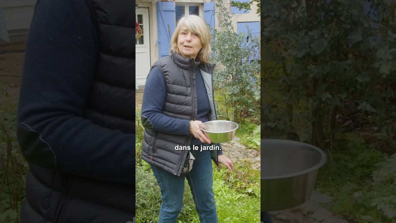 Comment nourrir un chien glouton ? 🐕 FORMATION ACACED #educationcanine #chien #chiens