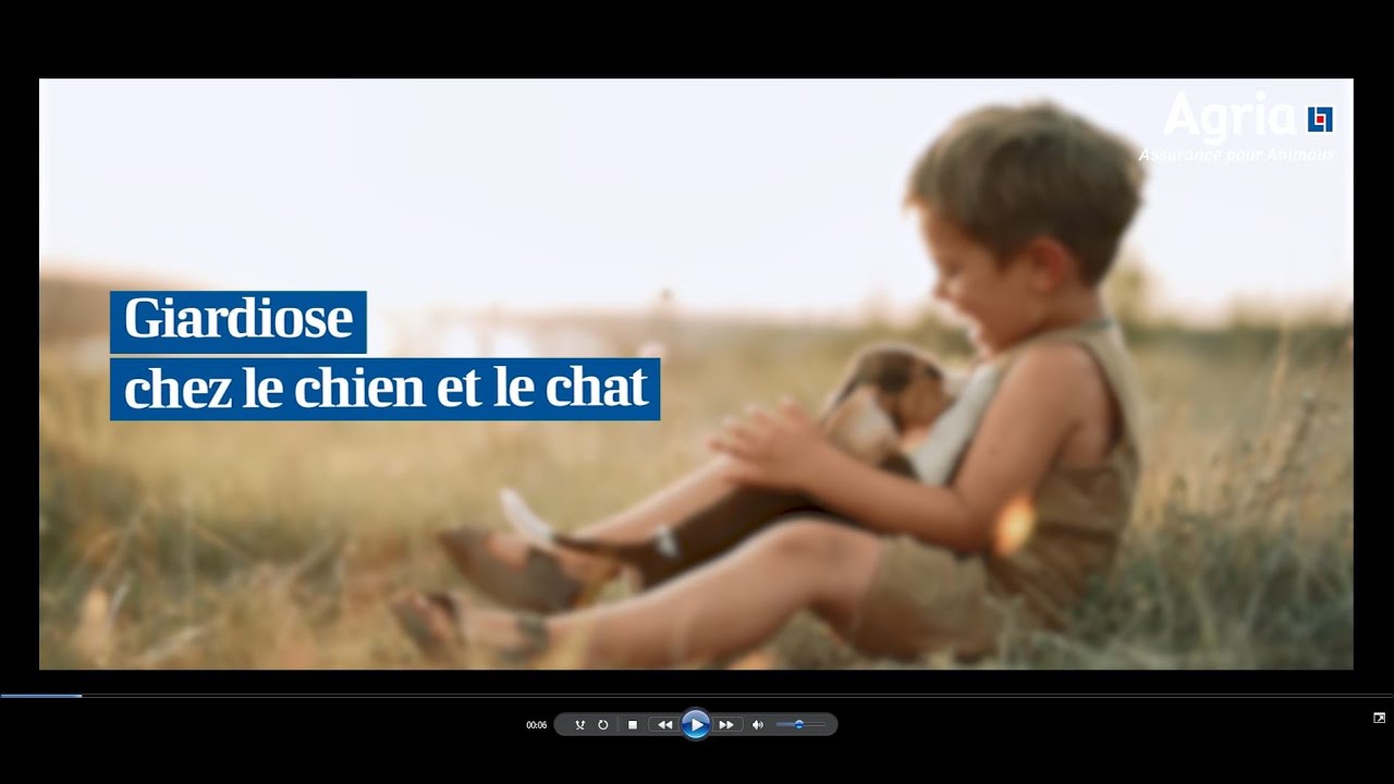 La Giardiose chez le chien et le chat